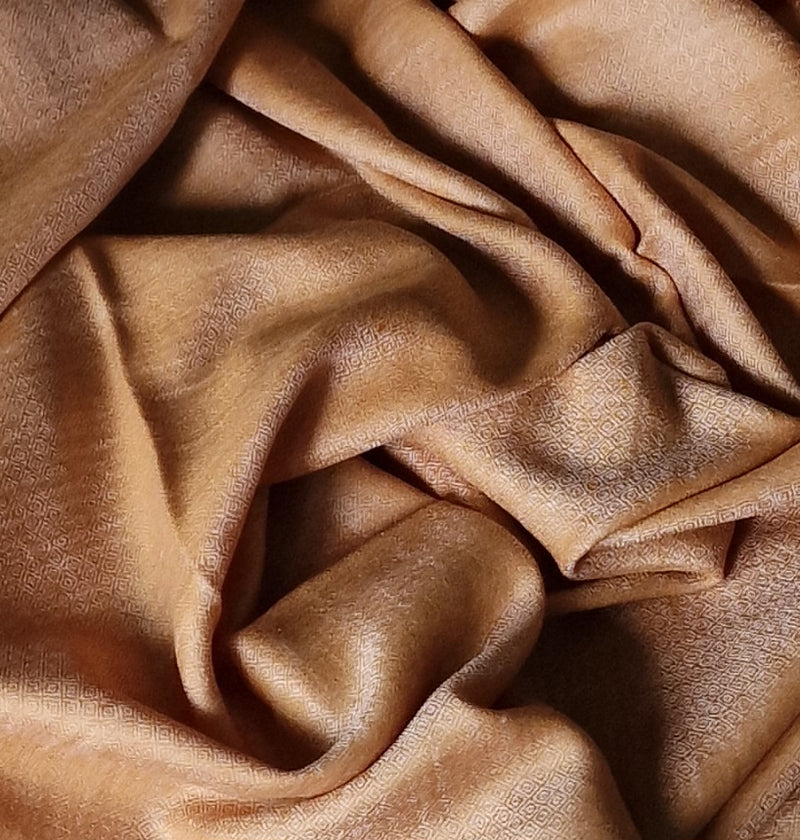 The Ultimate Choice in Luxury Soft Kashmir Pashmina Stoles- Holland Tulip - Baga Ethnik Living